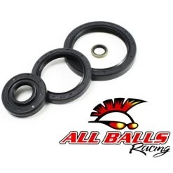 ALL BALLS RACING INC All Balls Differential Seal Kit - Front 25-2066-5 #25-2066-5