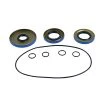 ALL BALLS RACING INC All Balls 25-2121-5 Racing Differential Seal Only Kit Front #25-2121-5