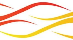 Balboa DC556 Cooldanna & Reg-Cotton-Flames #DC556