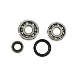 ALL BALLS RACING INC All Balls 24-1013 Crank Bearing And Seal Kit #24-1013